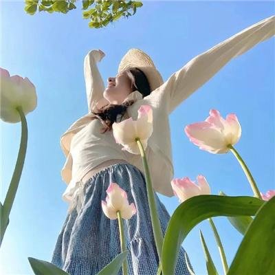 毛里求斯之旅